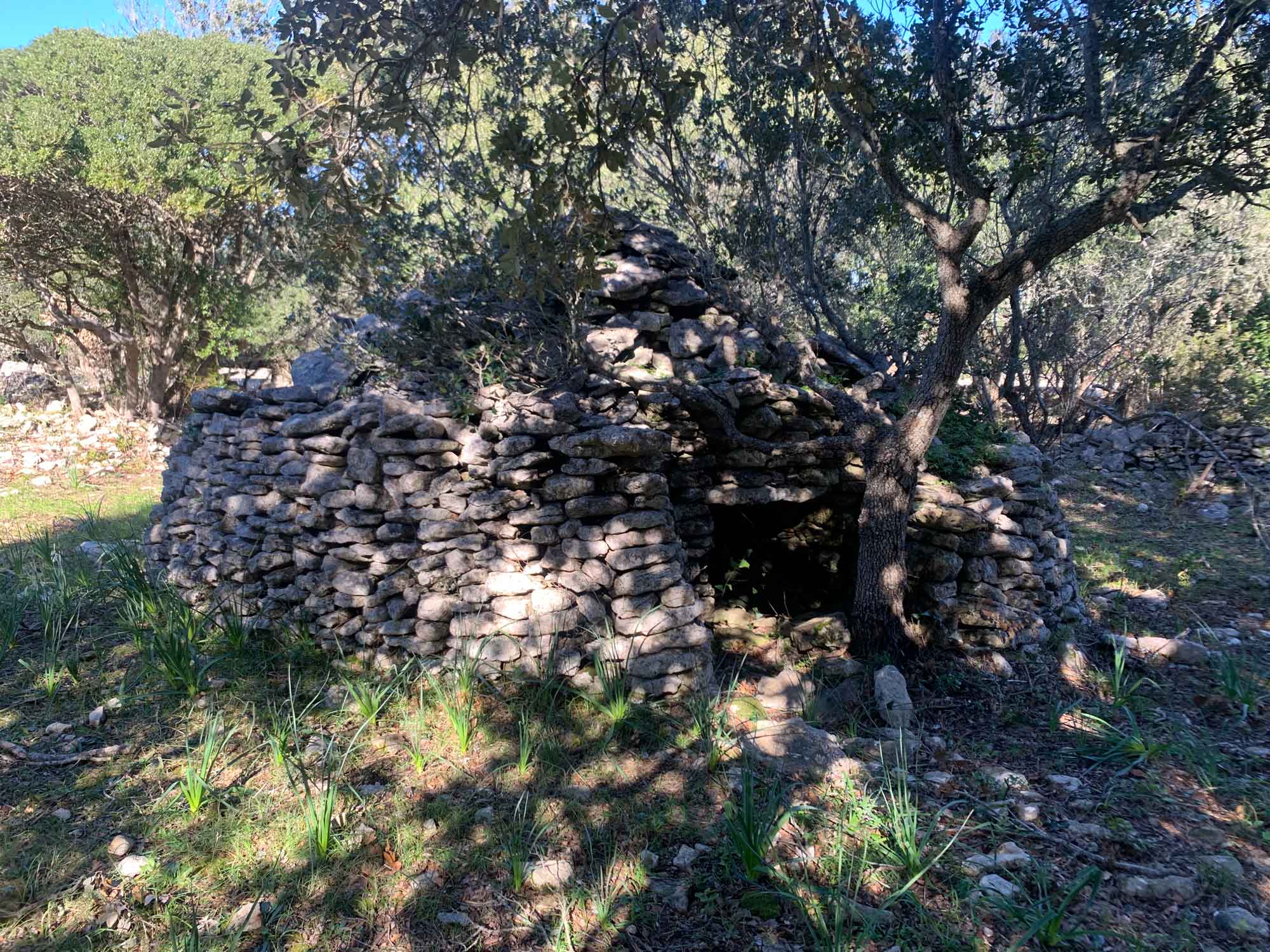 Lotissement Baccosa Bonifacio, vue 7